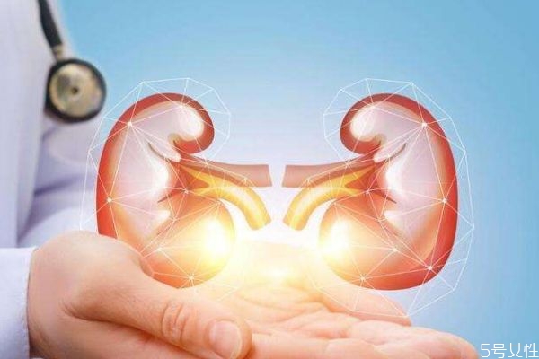 尿毒癥造成的原因有什么呢 為什么會(huì)有尿毒癥呢 尿毒癥造成的原因有什么呢 為什么會(huì)有尿毒癥呢