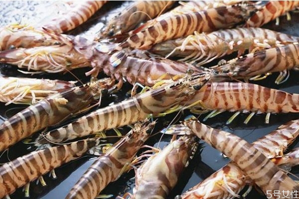 吃竹節(jié)蝦會長胖嗎 減肥可以吃竹節(jié)蝦嗎 吃竹節(jié)蝦會長胖嗎 減肥可以吃竹節(jié)蝦嗎