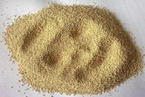 酵母片有什么作用 吃酵母片的禁忌 酵母片有什么作用 吃酵母片的禁忌