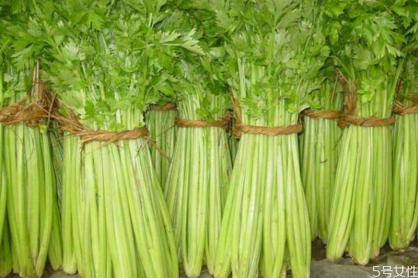 什么是西芹呢 西芹有什么營養(yǎng)價(jià)值呢