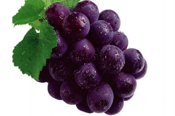 紫葡萄有什么營養(yǎng)價(jià)值呢 吃紫葡萄有什么好處呢 紫葡萄有什么營養(yǎng)價(jià)值呢 吃紫葡萄有什么好處呢