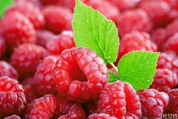 什么是山莓呢 山莓有什么營養(yǎng)價值呢 什么是山莓呢 山莓有什么營養(yǎng)價值呢