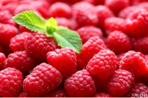 刺泡兒主要分布在哪里呢 吃刺泡兒有什么注意的呢 刺泡兒主要分布在哪里呢 吃刺泡兒有什么注意的呢