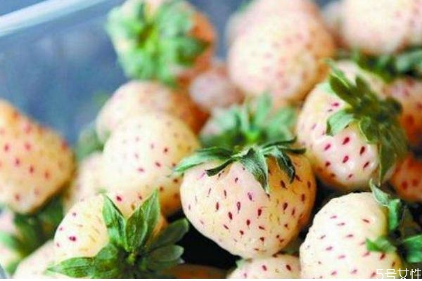 吃菠蘿莓有什么好處呢 吃菠蘿莓有什么注意的呢 吃菠蘿莓有什么好處呢 吃菠蘿莓有什么注意的呢