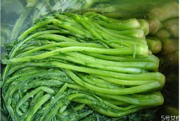 什么是雪里紅呢 雪里紅有什么營養(yǎng)價(jià)值呢 什么是雪里紅呢 雪里紅有什么營養(yǎng)價(jià)值呢