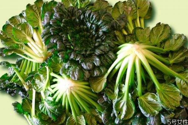 塔菜怎么做好吃呢 吃塔菜有什么作用呢 塔菜怎么做好吃呢 吃塔菜有什么作用呢