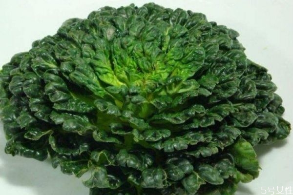 塔菜怎么做好吃呢 吃塔菜有什么作用呢 塔菜怎么做好吃呢 吃塔菜有什么作用呢