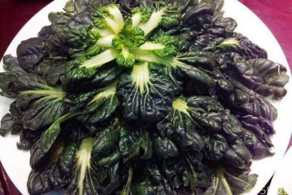 塔菜怎么做好吃呢 吃塔菜有什么作用呢 塔菜怎么做好吃呢 吃塔菜有什么作用呢