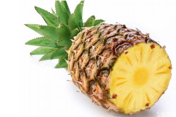 菠蘿減肥是真的嗎 菠蘿減肥每天可以瘦幾斤呢 菠蘿減肥是真的嗎 菠蘿減肥每天可以瘦幾斤呢