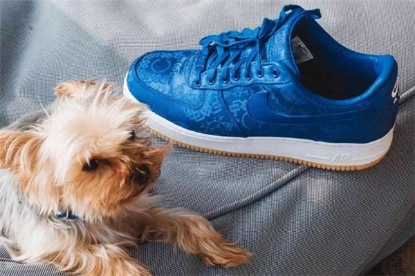 clot聯(lián)名af1藍絲綢真假對比 clot空軍一號藍絲綢真假鑒定 clot聯(lián)名af1藍絲綢真假對比 clot空軍一號藍絲綢真假鑒定