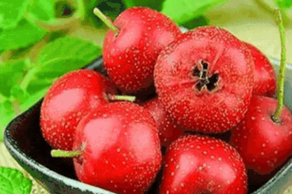 山楂不能多吃的原因 什么情況下不能吃山楂 山楂不能多吃的原因 什么情況下不能吃山楂