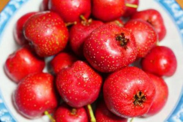 山楂不能多吃的原因 什么情況下不能吃山楂 山楂不能多吃的原因 什么情況下不能吃山楂
