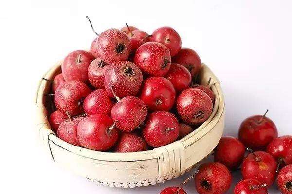 新鮮山楂能放多久 山楂買什么樣的好 新鮮山楂能放多久 山楂買什么樣的好