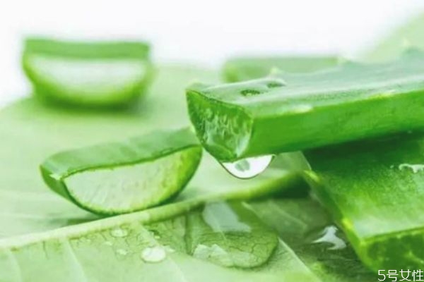 擦完蘆薈膠還可以擦其它護(hù)膚品嗎 蘆薈膠與護(hù)膚品順序 擦完蘆薈膠還可以擦其它護(hù)膚品嗎 蘆薈膠與護(hù)膚品順序