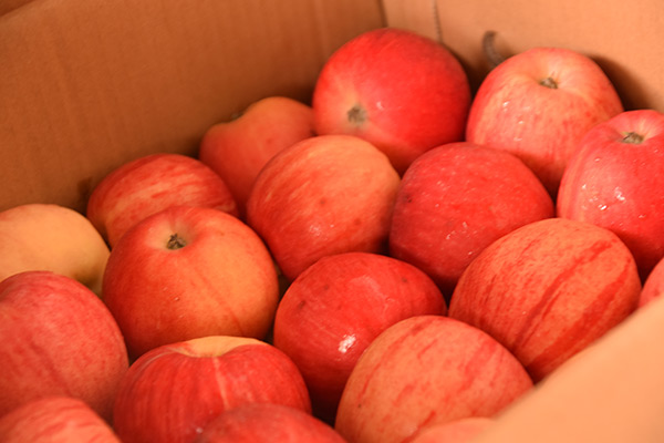 吃煮蘋果有什么功效 煮蘋果多長時間好 吃煮蘋果有什么功效 煮蘋果多長時間好