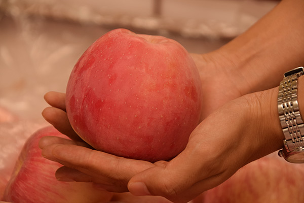 蘋果太酸了怎么辦 蘋果為什么會變黃 蘋果太酸了怎么辦 蘋果為什么會變黃