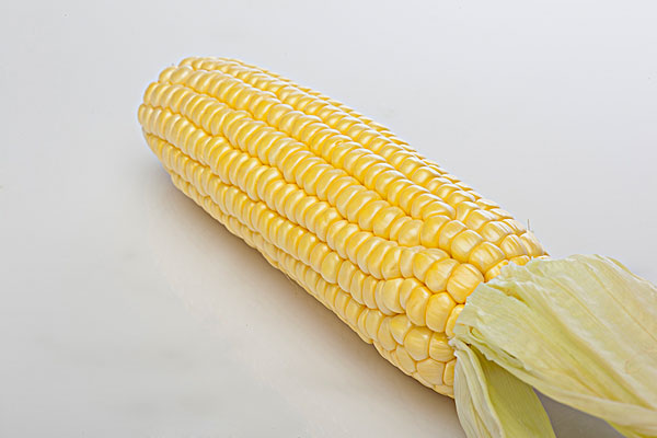 吃玉米的最佳時間 玉米粒可以煮面條嗎