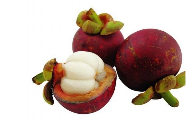 莽吉柿是哪種熱帶水果 什么是莽吉柿 莽吉柿是哪種熱帶水果 什么是莽吉柿