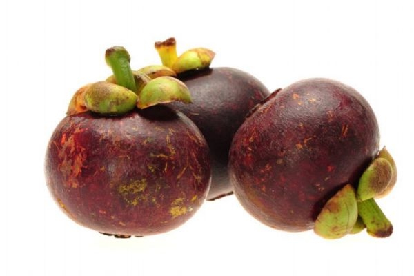 莽吉柿是哪種熱帶水果 什么是莽吉柿 莽吉柿是哪種熱帶水果 什么是莽吉柿