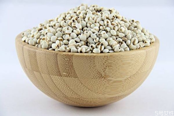 薏仁米可以減肥嗎 薏仁米減肥的方法有什么 薏仁米可以減肥嗎 薏仁米減肥的方法有什么