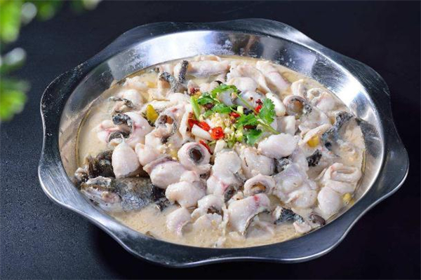 黑魚和黑頭魚是一種魚嗎 黑魚和黑頭魚的區(qū)別 黑魚和黑頭魚是一種魚嗎 黑魚和黑頭魚的區(qū)別