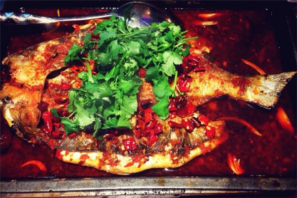 清江魚和鯰魚的區(qū)別 清江魚和鯰魚哪個(gè)好吃 清江魚和鯰魚的區(qū)別 清江魚和鯰魚哪個(gè)好吃