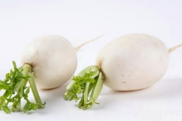 吃白蘿卜會(huì)脹氣嗎 吃白蘿卜會(huì)回奶嗎 吃白蘿卜會(huì)脹氣嗎 吃白蘿卜會(huì)回奶嗎