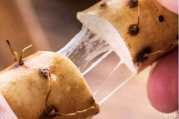 山藥的粘液需要清洗么 山藥的粘液為什么會(huì)癢 山藥的粘液需要清洗么 山藥的粘液為什么會(huì)癢