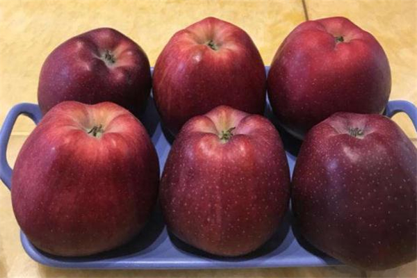 花牛蘋果能放多久 花牛蘋果可以放冰箱嗎 花牛蘋果能放多久 花牛蘋果可以放冰箱嗎