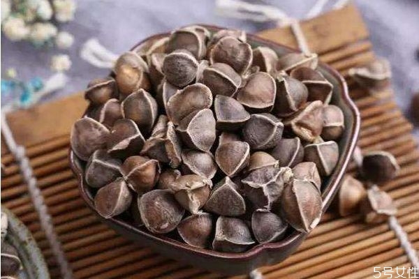 什么是辣木籽 辣木籽有什么好處 什么是辣木籽 辣木籽有什么好處