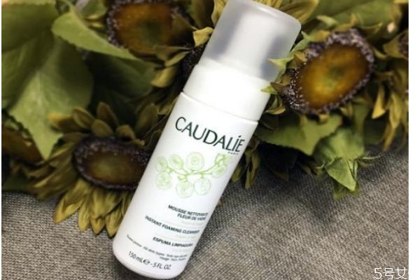 歐緹麗潔面摩絲怎么樣 歐緹麗潔面摩絲成分 歐緹麗潔面摩絲怎么樣 歐緹麗潔面摩絲成分