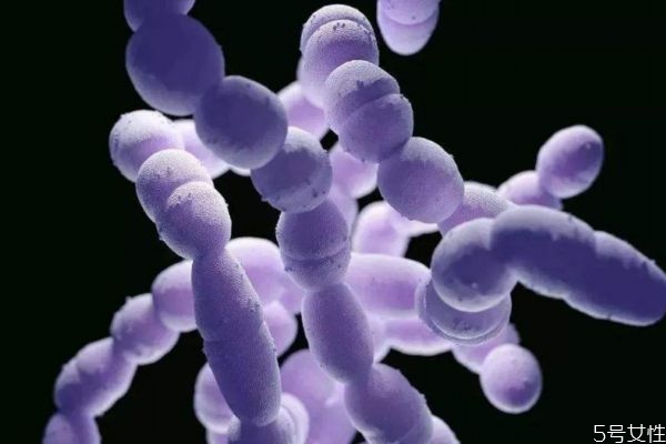 肺炎支原體抗體陽(yáng)性是什么意思 肺炎支原體抗體陽(yáng)性是什么意思