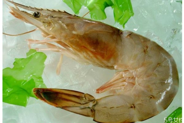 沼蝦和明蝦有什么區(qū)別 什么是沼蝦和明蝦 沼蝦和明蝦有什么區(qū)別 什么是沼蝦和明蝦