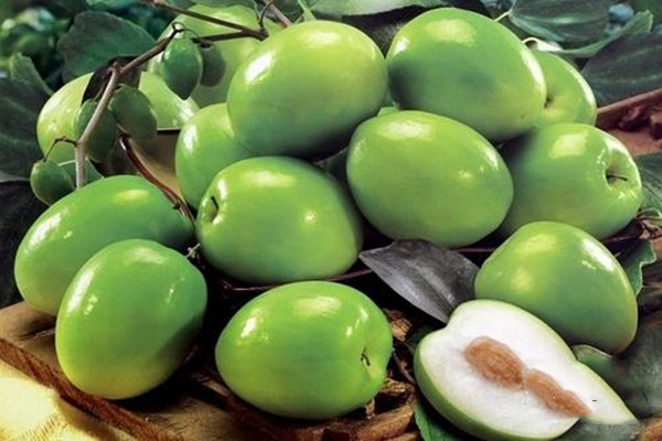 青棗一次性適合吃多少 什么季節(jié)吃青棗最好 青棗一次性適合吃多少 什么季節(jié)吃青棗最好