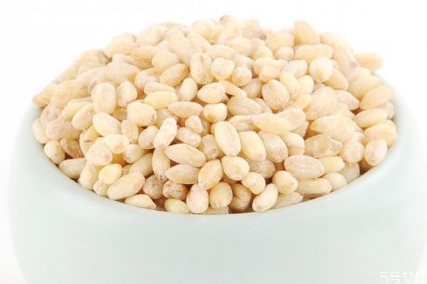 麥仁有什么營養(yǎng)價值呢 吃麥仁有什么好處呢 麥仁有什么營養(yǎng)價值呢 吃麥仁有什么好處呢