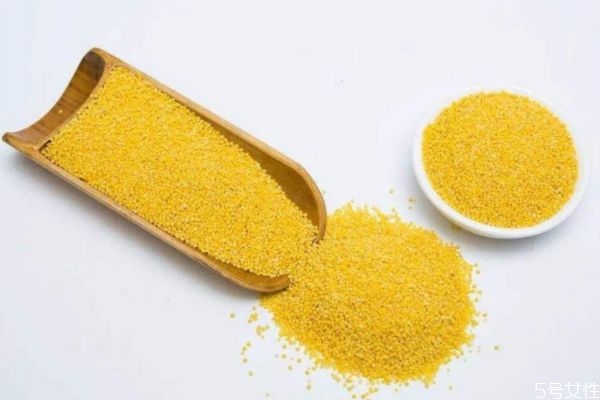 什么是粟米呢 粟米有什么營養(yǎng)價值呢 什么是粟米呢 粟米有什么營養(yǎng)價值呢