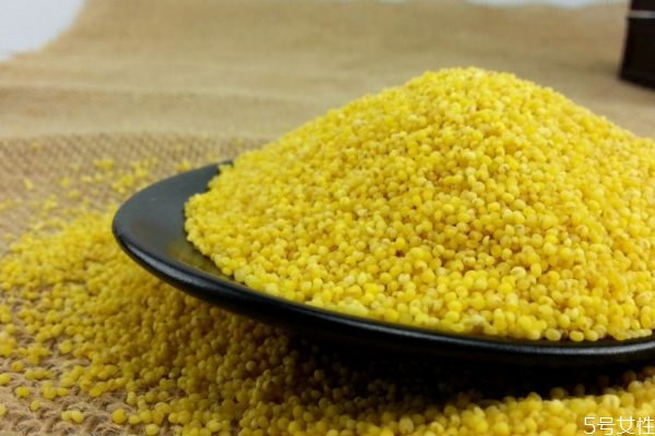 什么是粟米呢 粟米有什么營養(yǎng)價值呢 什么是粟米呢 粟米有什么營養(yǎng)價值呢