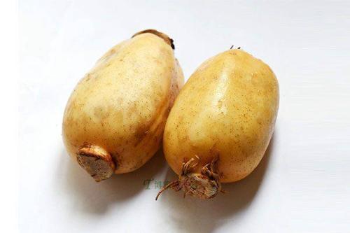 吃蓮藕能促進(jìn)排便嗎 蓮藕怎么煮不會(huì)黑 吃蓮藕能促進(jìn)排便嗎 蓮藕怎么煮不會(huì)黑