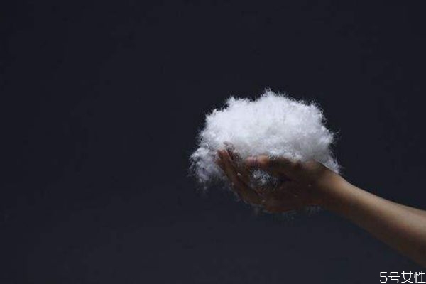 95%白鵝絨絲是什么意思 什么叫鵝絨絲 95%白鵝絨絲是什么意思 什么叫鵝絨絲