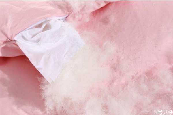 95%白鵝絨絲是什么意思 什么叫鵝絨絲 95%白鵝絨絲是什么意思 什么叫鵝絨絲