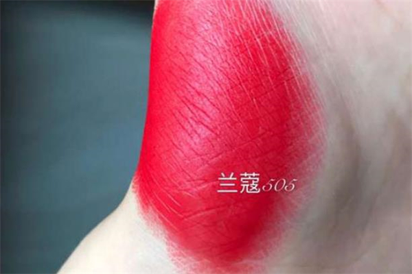 蘭蔻505試色 蘭蔻505和196哪個(gè)好看 蘭蔻505試色 蘭蔻505和196哪個(gè)好看