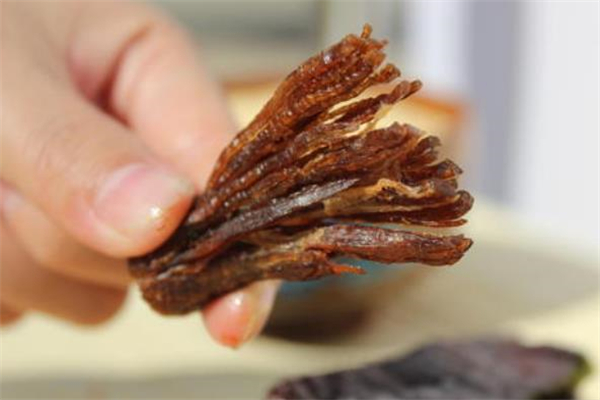 牛肉干可以炸著吃嗎 牛肉干能和海鮮一起吃嗎 牛肉干可以炸著吃嗎 牛肉干能和海鮮一起吃嗎