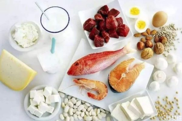 為什么需要補(bǔ)充蛋白質(zhì)呢 喝蛋白質(zhì)粉有什么好處 為什么需要補(bǔ)充蛋白質(zhì)呢 喝蛋白質(zhì)粉有什么好處