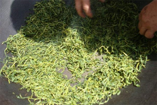 竹葉青茶適合什么人喝 竹葉青茶哪些人不能喝 竹葉青茶適合什么人喝 竹葉青茶哪些人不能喝