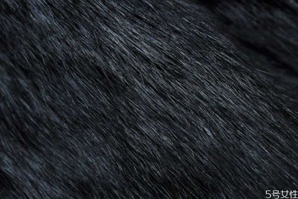 兔毛內(nèi)膽掉毛怎么處理 防止兔毛掉毛的方法 兔毛內(nèi)膽掉毛怎么處理 防止兔毛掉毛的方法