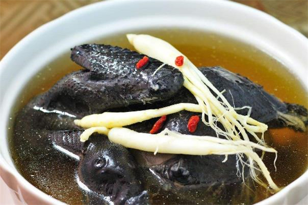 烏雞湯燉多久能熟 燉烏雞湯放什么配料好 烏雞湯燉多久能熟 燉烏雞湯放什么配料好