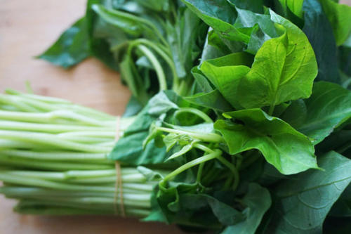 紅薯葉曬干后的功效 曬干的紅薯葉有什么影響 紅薯葉曬干后的功效 曬干的紅薯葉有什么影響