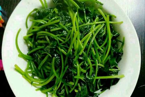 紅薯葉曬干后的功效 曬干的紅薯葉有什么影響 紅薯葉曬干后的功效 曬干的紅薯葉有什么影響