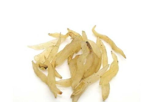 天冬是什么 天冬和天門冬的區(qū)別 天冬是什么 天冬和天門冬的區(qū)別