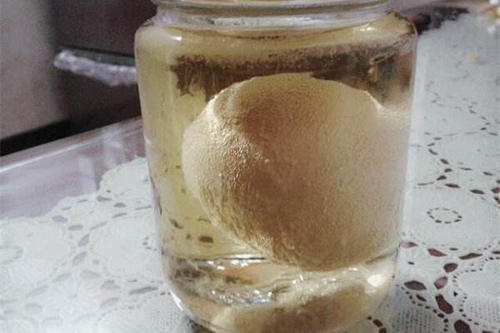 米醋泡雞蛋的做法 米醋泡雞蛋有減肥功效嗎 米醋泡雞蛋的做法 米醋泡雞蛋有減肥功效嗎